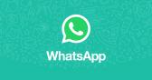 WhatsApp Group Invite