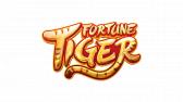 Tigre Aposta lll? Fortune Tiger Jogo