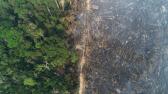 Com mais de 17 mil focos, Brasil registra recorde de queimadas em 2024 | Vale do Paraba e Regio...