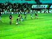 Em 1980, os gols de Flamengo 6 X 2 Palmeiras pelo Campeonato Brasileiro - YouTube