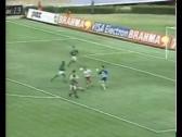 Palmeiras 2 x 6 Fluminense - Campeonato Brasileiro 2001 - YouTube