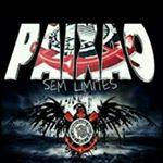 @eternapaixao_sccp ? Instagram photos and videos