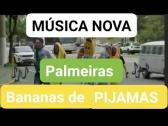 Nova msica do Palmeiras verso abertura bananas de pijamas ? - YouTube