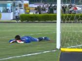 Mirassol 6 x 2 Palmeiras | Melhores Momentos | Campeonato Paulista 2013 - YouTube