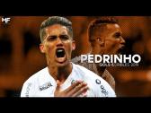 Pedrinho - Dribles & Gols - 2019 - HD - YouTube