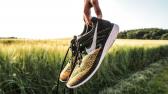 Dona da Centauro compra Nike do Brasil | Empresas | Valor Econ�mico