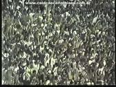 Corinthians 1 x 0 Grmio 3Jogo Quartas de Final Campeonato Brasileiro 1998 - YouTube