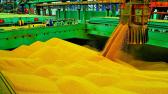 Cargill lidera entre exportadores de gr�os do Brasil em 2019; veja os destinos - Not�cias Agr�colas