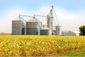 Veja a lista das 100 maiores empresas do agroneg�cio do Brasil - Forbes