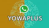Yo Whatsapp 9.30 APK Updated from 9.29 Download for Android 2022