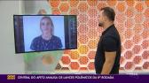 FCF afasta �rbitro Rodrigo D