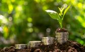 Aplica��o do cr�dito rural chega a quase R$ 250 bilh�es em seis meses do atual Plano Safra ?