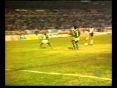 Guarani 0x1 Corinthians 1988 - Final Paulistao - Gol do Viola - YouTube