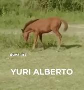 Ball Horse GIF by DevX Art - Find & Share on GIPHY