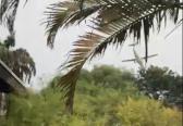 AO VIVO: Avi�o com 62 pessoas a bordo cai em Vinhedo, SP | G1