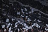 Cambismo no Corinthians: funcion�ria relata irregularidades e ass�dio moral � Pol�cia |...
